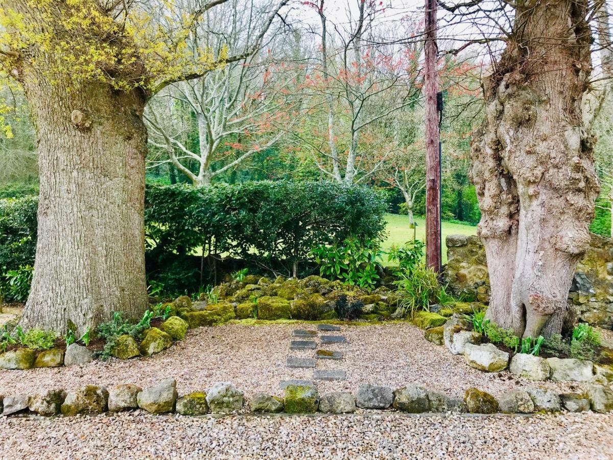 Chestnut Cottage, Shanklin Rural Retreat ภายนอก รูปภาพ